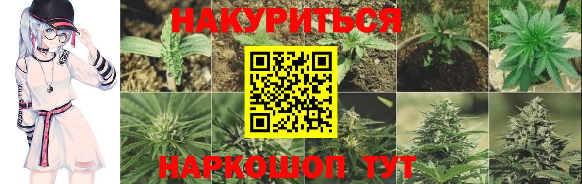 МАРИХУАНА планчик  Бошки марихуана LSD WEED  Каннабис тримм  Вход с VPN  Клинцы  Каннабис Ganja 